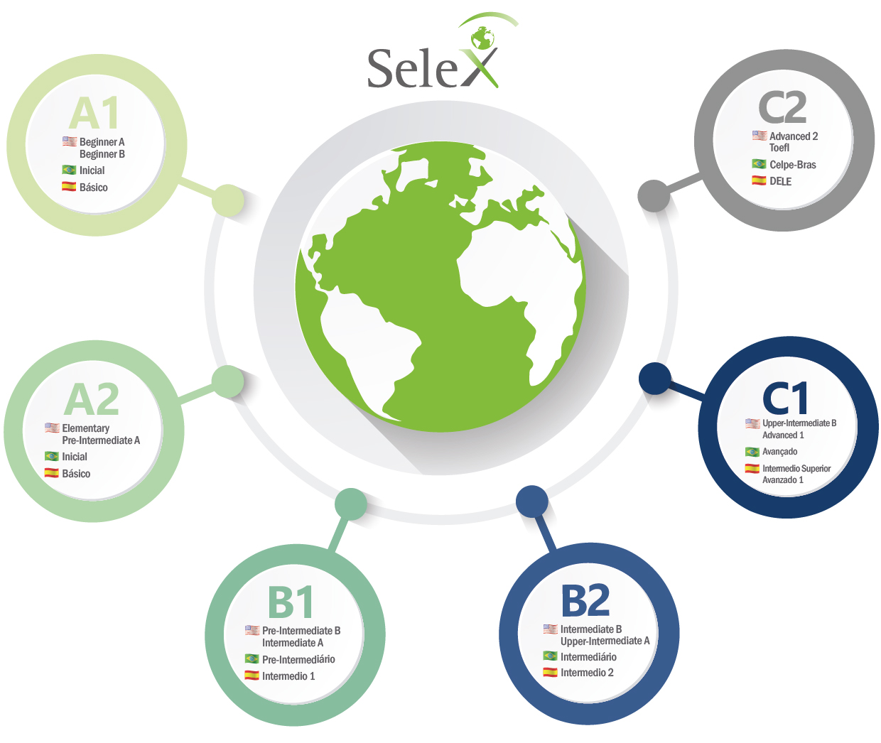 Selex Idiomas Marco Común Europeo De Referencia 3855